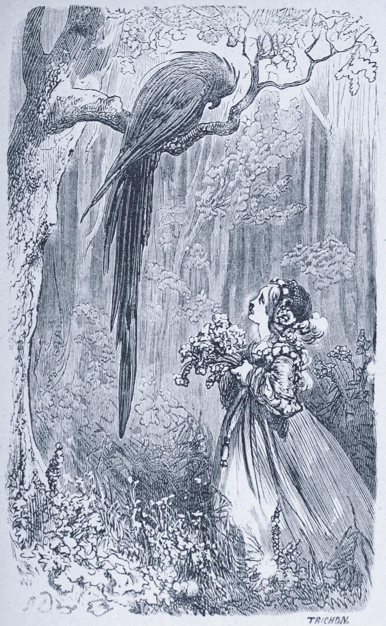 Gustave Doré engraving of a parrot urging her on — a named helper called to act
